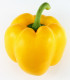 Paprika žlutá Gelber Block - Capsicum annuum - semena - 7 ks