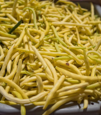 Fazole keříčková Dior - Phaseolus vulgaris - semena - 65 ks