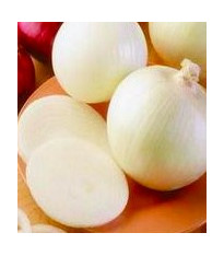 Cibule jarní bílá - lahůdková - Allium cepa - semena - 1 g