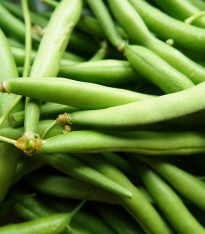 Fazole Delinel - Phaseolus vulgaris - semena - 20 ks