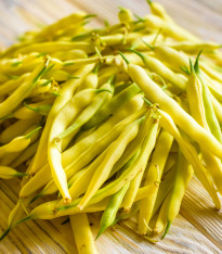 Fazol keříčková Golden Teepee - Phaseolus vulgaris - semena - 20 ks