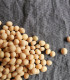 Sója - Glycina max - semena - 25 ks