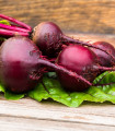 Řepa salátová červená kulatá - Beta vulgaris - semena - 140 ks