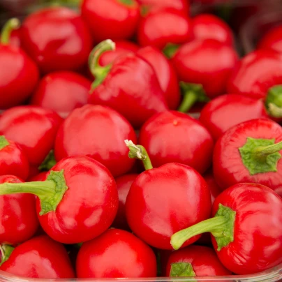 Paprika rajčinová Ontara - Capsicum annuum - semena - 40 ks