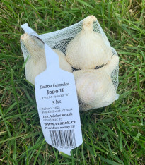Sadbový česnek Japo II - Allium sativum - nepaličák - cibule česneku - 1 balení