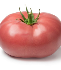Rajče Brandywine růžové - Solanum lycopersicum - semena - 6 ks