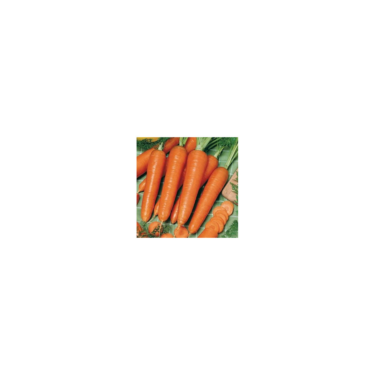 Mrkev Rotin - osivo Mrkve - Daucus carota - 1 gr