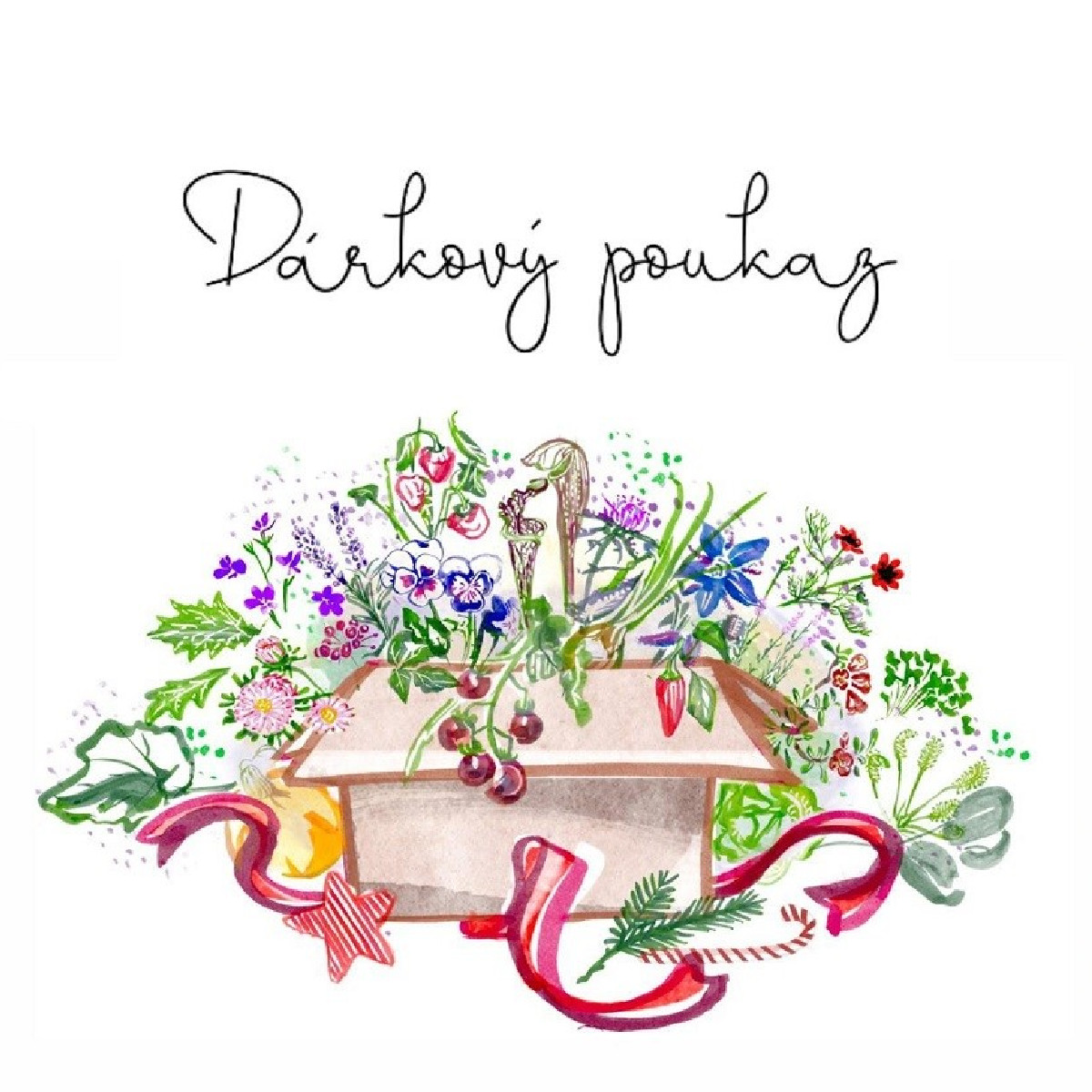 Vánoční voucher - poukaz v hodnotě 1000 Kč