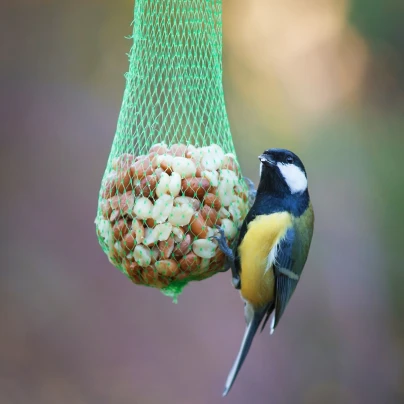 Závěsný balíček pro venkovní ptactvo - Krmítko - 4 ks