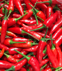 BIO Chilli Kajenský pepř - Capsicum annuum - bio semena - 7 ks