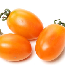 Rajče Datlo - Solanum lycopersicum - semena - 10 ks