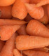 BIO Mrkev Chantenay - Daucus carota - bio semena - 350 ks