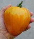 Rajče Oxheart Orange - Solanum lycopersicum - semena - 10 ks