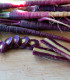 BIO Mrkev fialová Gniff  - Daucus carota - bio semena - 400 ks