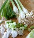 BIO Cibule jarní Bílý Lisabon - Allium cepa - bio semena - 100 ks