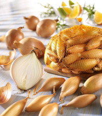 Cibule sazečka žlutá - Allium cepa - cibulky - 250 g