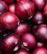 Cibule červená sazečka Rote  - Allium cepa - cibulky - 250 g
