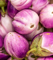 BIO Lilek Rosa Bianca - Solanum melongena - bio semena - 20 ks