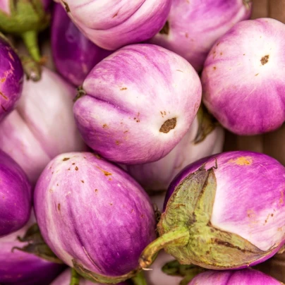 BIO Lilek Rosa Bianca - Solanum melongena - bio semena - 20 ks