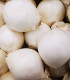 Cibule sazečka Snowball - Allium cepa - cibulky - 250 g