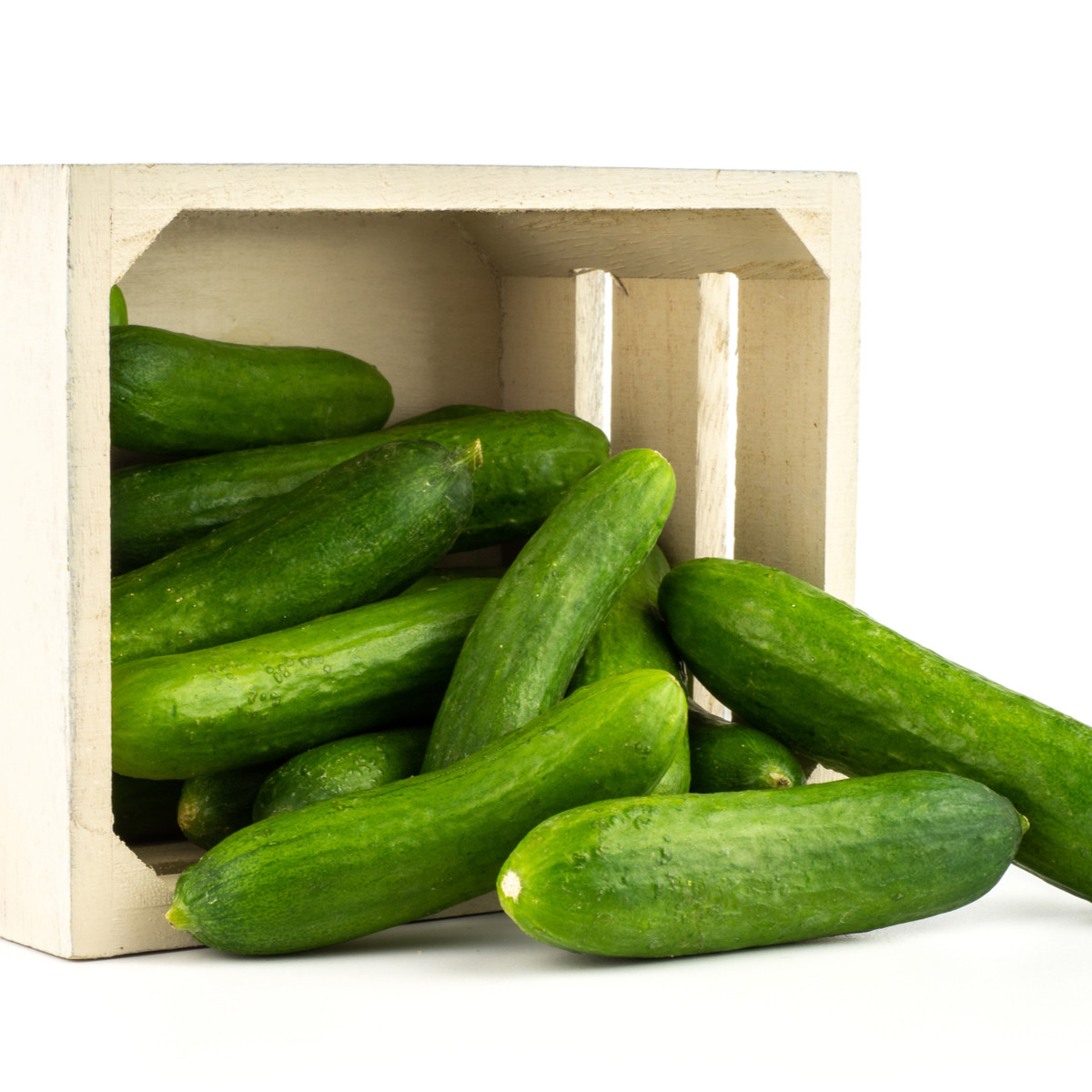 BIO Okurka Picolino F1 - Cucumis sativus - bio semena - 4 ks