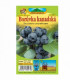 Borůvka kanadská - Vaccinium corymbosum - sazenice - 1 ks
