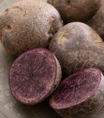 Sadbové brambory Blaue St. Galler - Solanum tuberosum - brambory - 5 ks