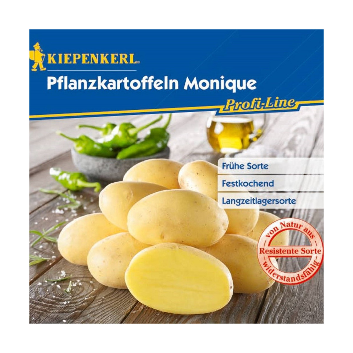 Sadbové brambory Monique - Solanum tuberosum - brambory - 10 ks