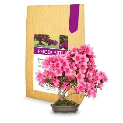 Rhodovit - mykorhiza pro bonsaje - Symbiom - 100 g