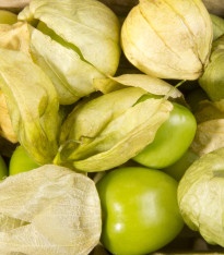 Tomatillo - Rajčenka - Physalis ixocarpa - semena - 5 ks