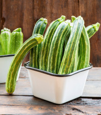 BIO Cuketa Green Tiger F1 - Cucurbita pepo - bio semena - 5 ks
