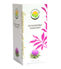 Ostropestřec mariánský - čajové sáčky - Silybum marianum - 20 x 3 g