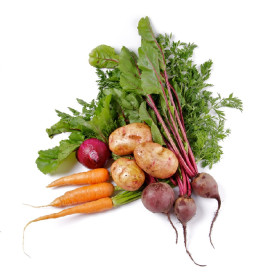 Kořenová zelenina