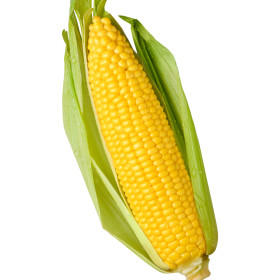Kukuřice
