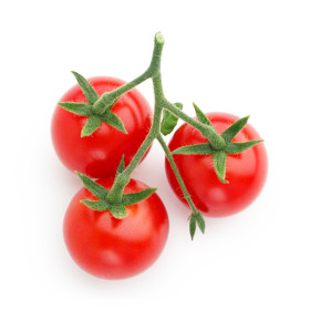 Keříčková rajčata