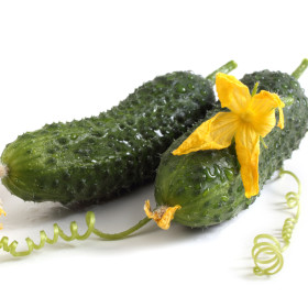 Okurky na naložení