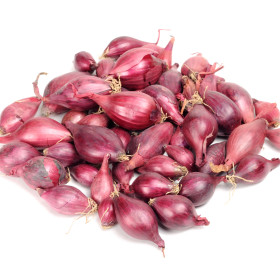 Sadbová cibule