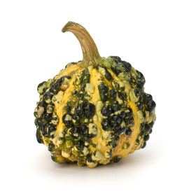 Okrasné dýně