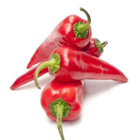 Chilli extrémně pálivé