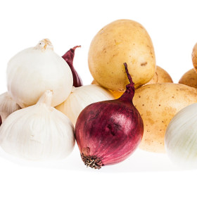 BIO sadbová zelenina