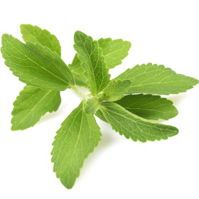 Stévie