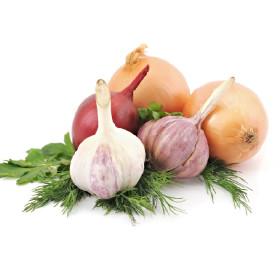 BIO cibulová zelenina