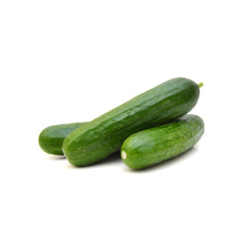BIO okurky