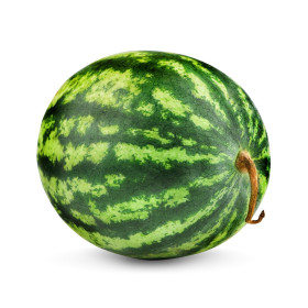 BIO meloun