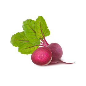BIO řepa