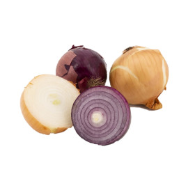 BIO cibule