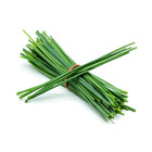 BIO ostatní cibulová zelenina