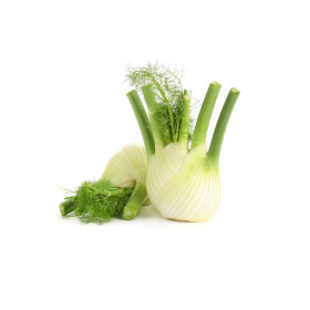 BIO fenykl