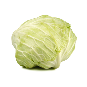 BIO zelí