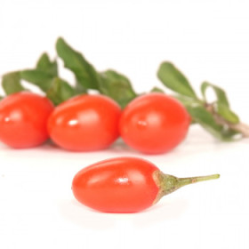 BIO ovoce